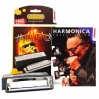 Hot Metal Diatonica