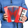 Acordeon para Niño Teclado de 17 Teclas - 8 Bajos. A partir de los 5 años en adelante.