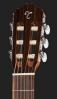 GC1