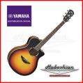 Yamaha APX600