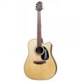 Takamine EG320C