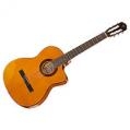 Takamine GC3CE