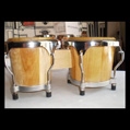 Latin Custom Lc 4050