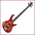 CORT Action  DLX