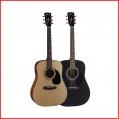 CORT AD810E