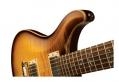 PRS Mc Carty Model - Birds
