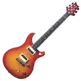 PRS SE Custom