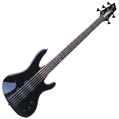 Washburn XB-125N