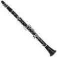 Yamaha YCL 255  Standard